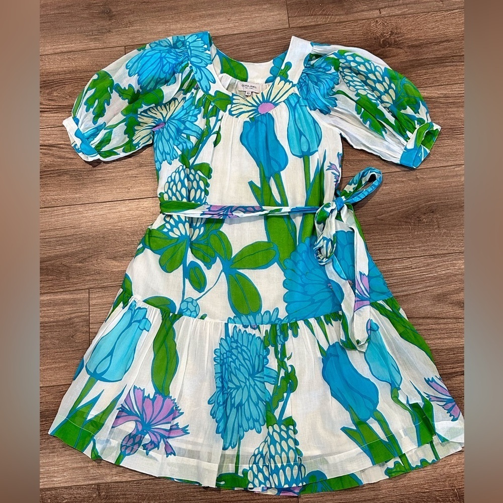 Olivia James The Label Anna Dress in Mod Floral Aqua XS - Picture 5 of 11